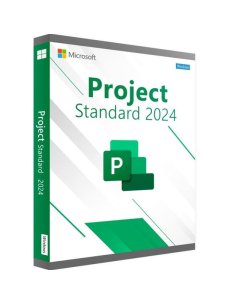 Licencia Project 2024 - Reinstalable